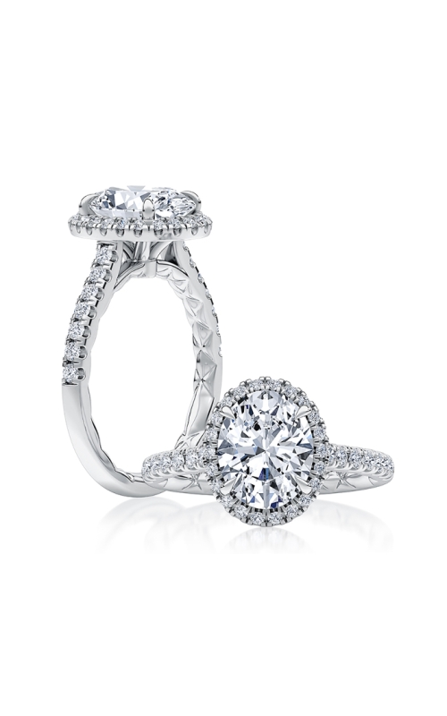 14K White Gold Halo and Diamond Engagement Ring