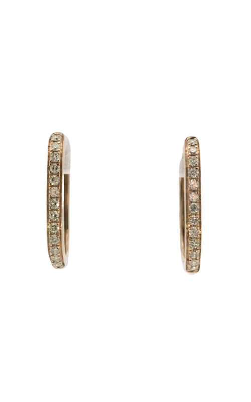 14k Yellow Gold Hoop Earrings