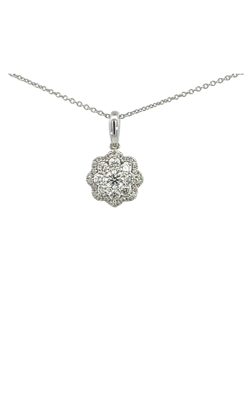 14K White Gold Diamond, Circle and Pendant Necklace