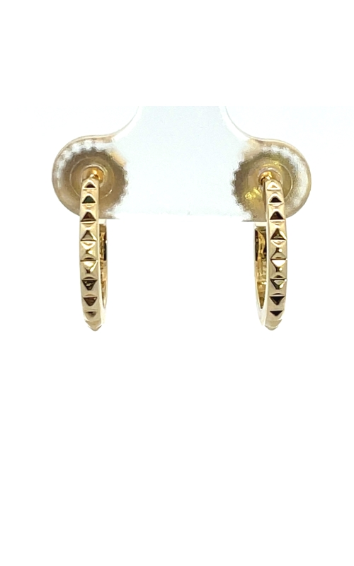 14k Yellow Gold Hoop Earrings